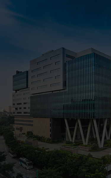 Inner Portfolio Banner